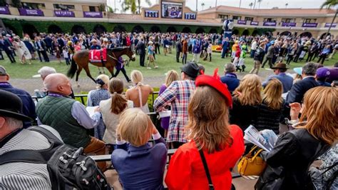 Breeders' Cup at The Ultimate Race Book .